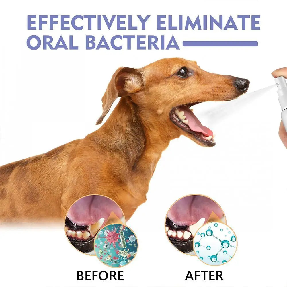 Pet Dental Care Spray for Dogs & Cats