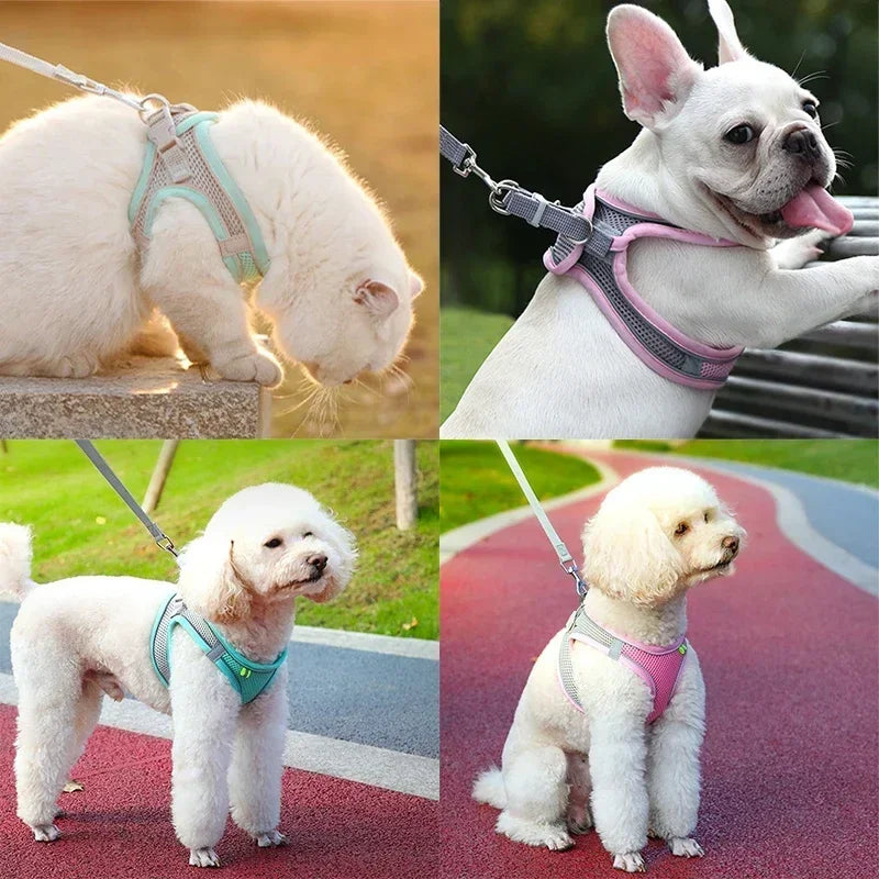 Reflective Cat Harness & Leash Set