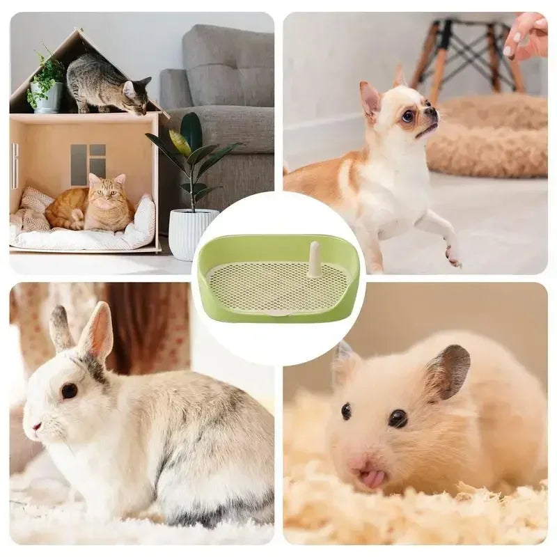 Large Dog Potty Training Tray