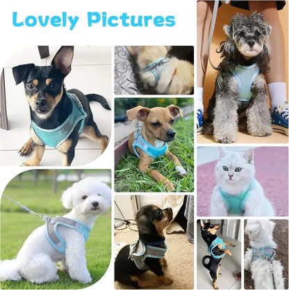 Reflective Cat Harness & Leash Set