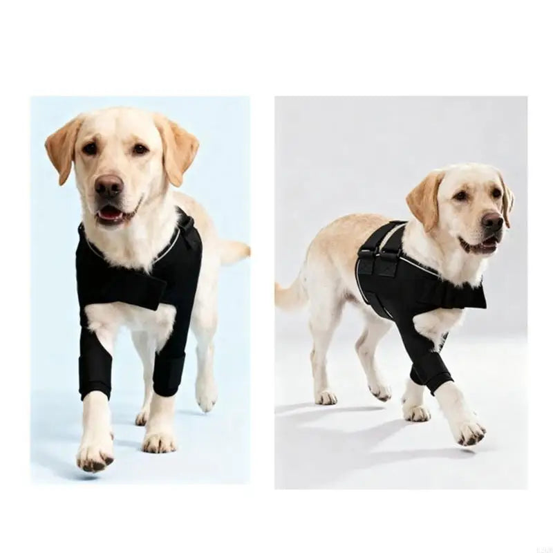 Adjustable Dog Knee Brace Support