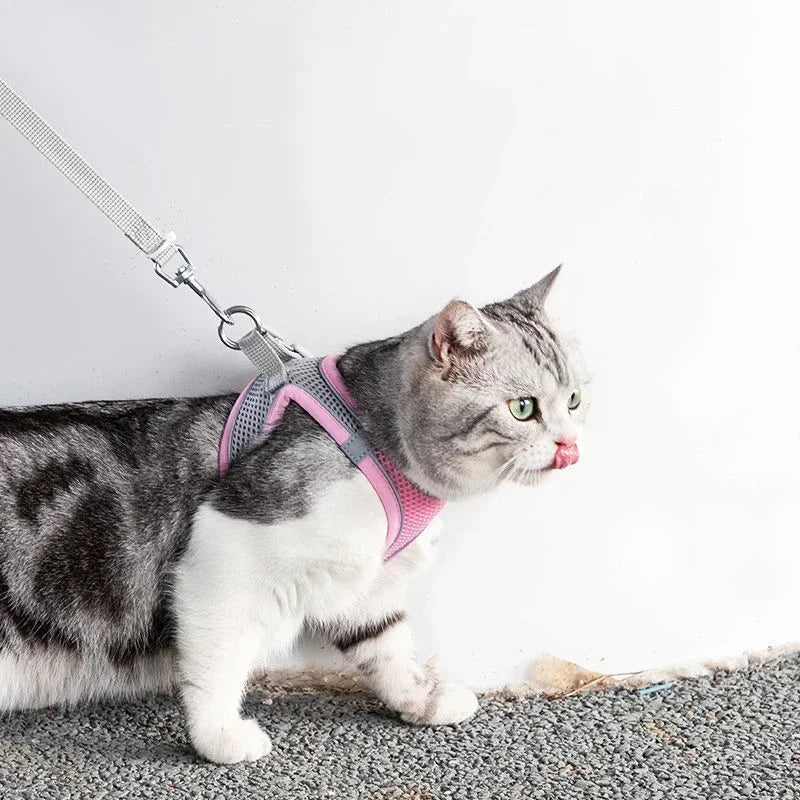 Reflective Cat Harness & Leash Set