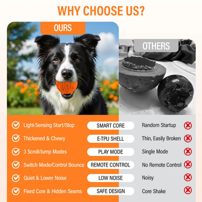 Smart Interactive Dog Ball Toy