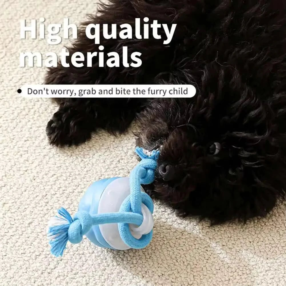 Smart Interactive Rolling Dog Ball