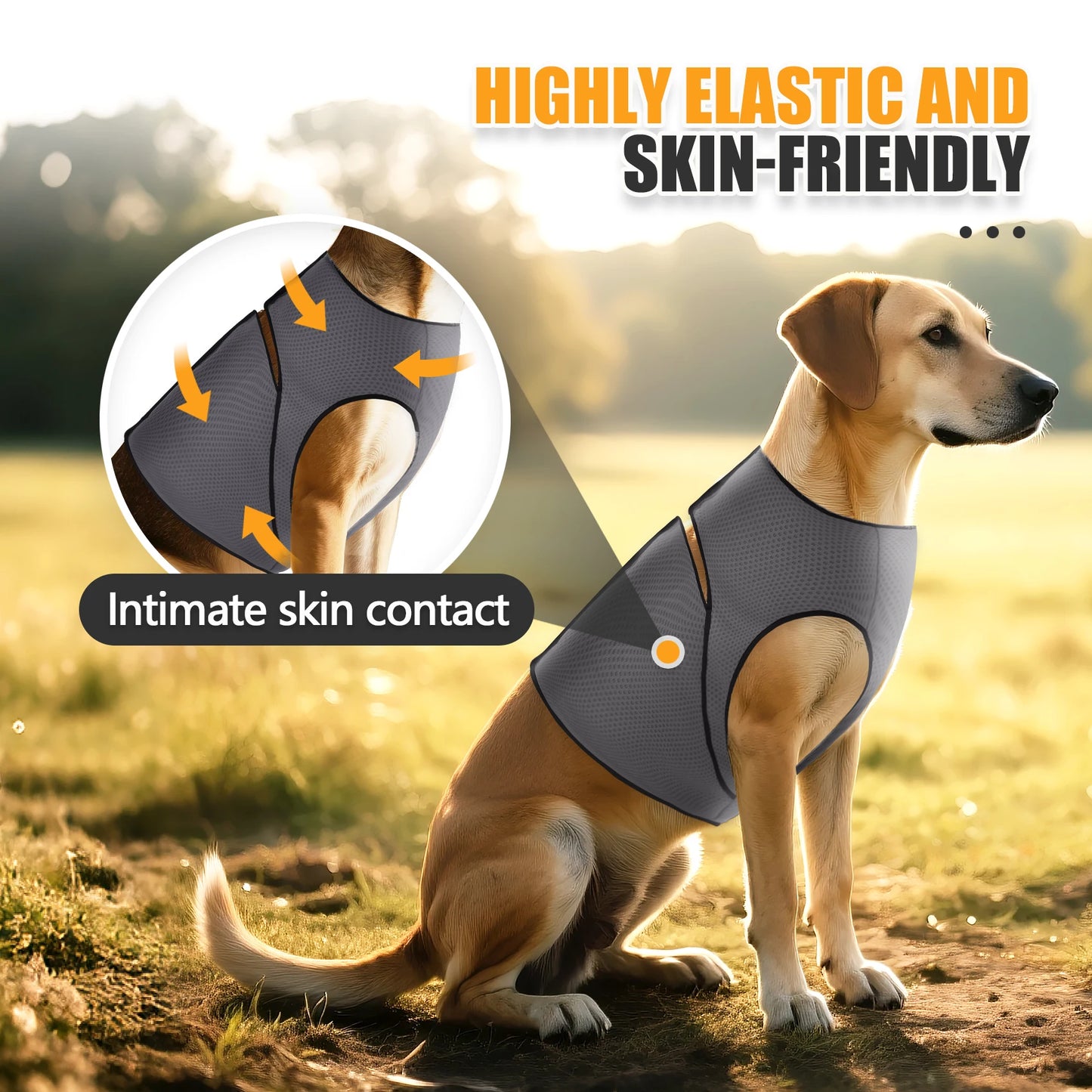 Dog Calming Anxiety Vest
