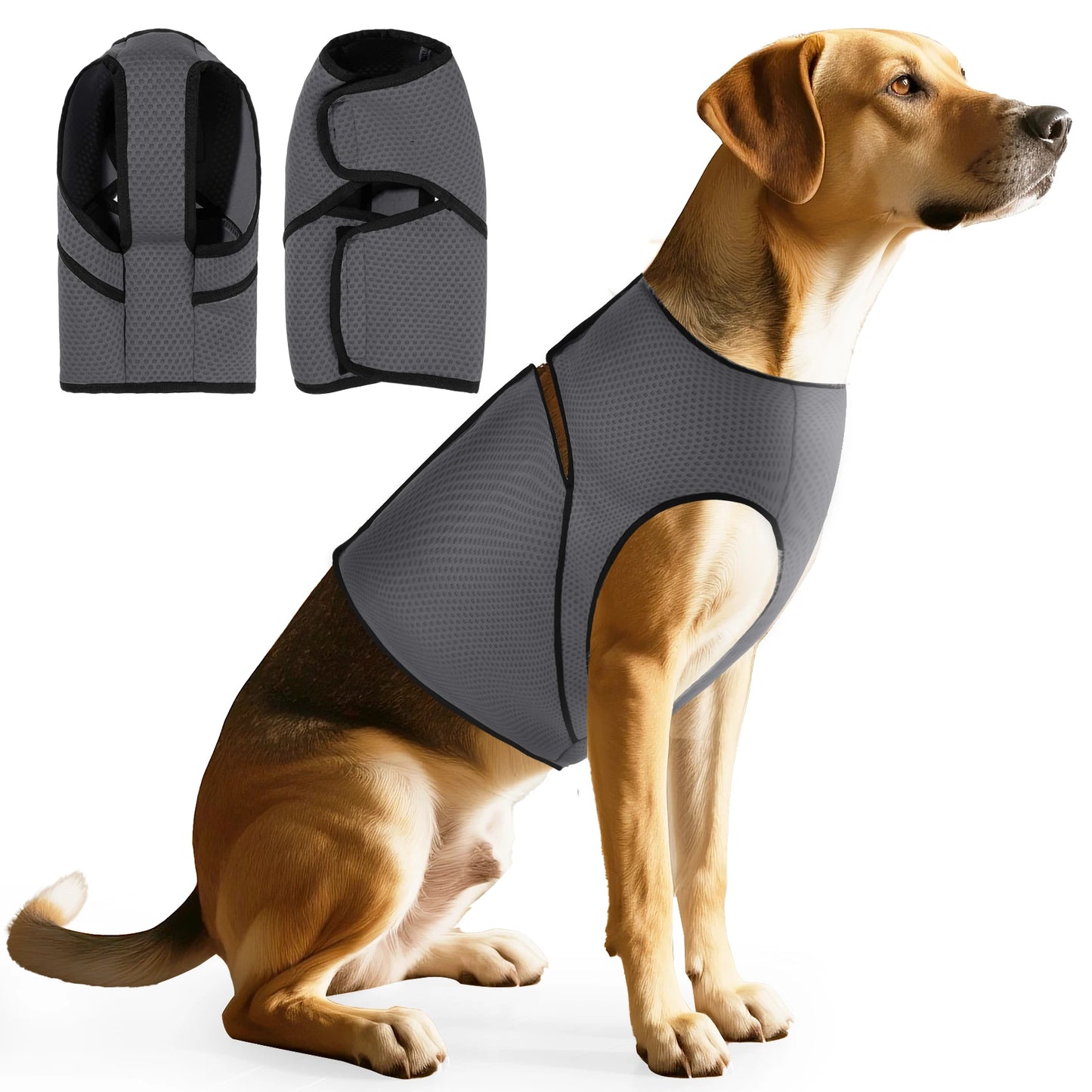 Dog Calming Anxiety Vest
