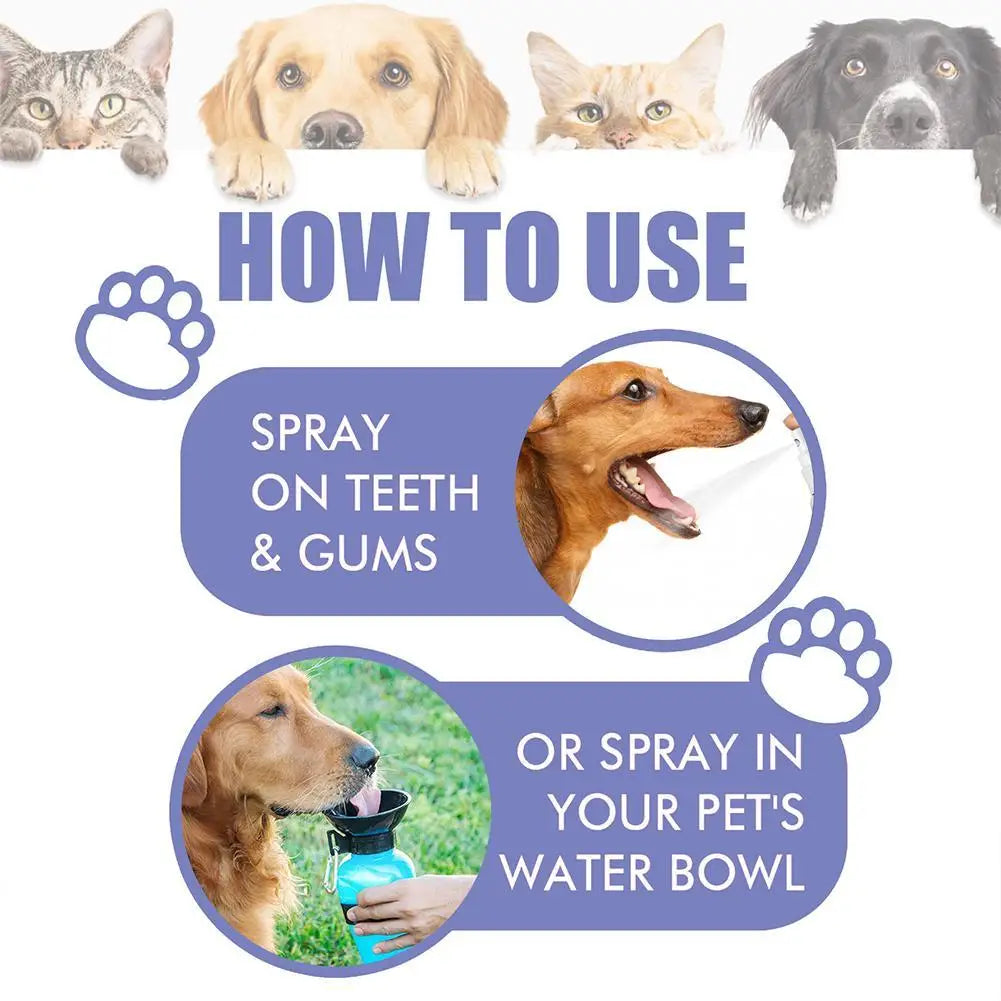 Pet Dental Care Spray for Dogs & Cats
