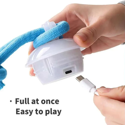 Smart Interactive Rolling Dog Ball