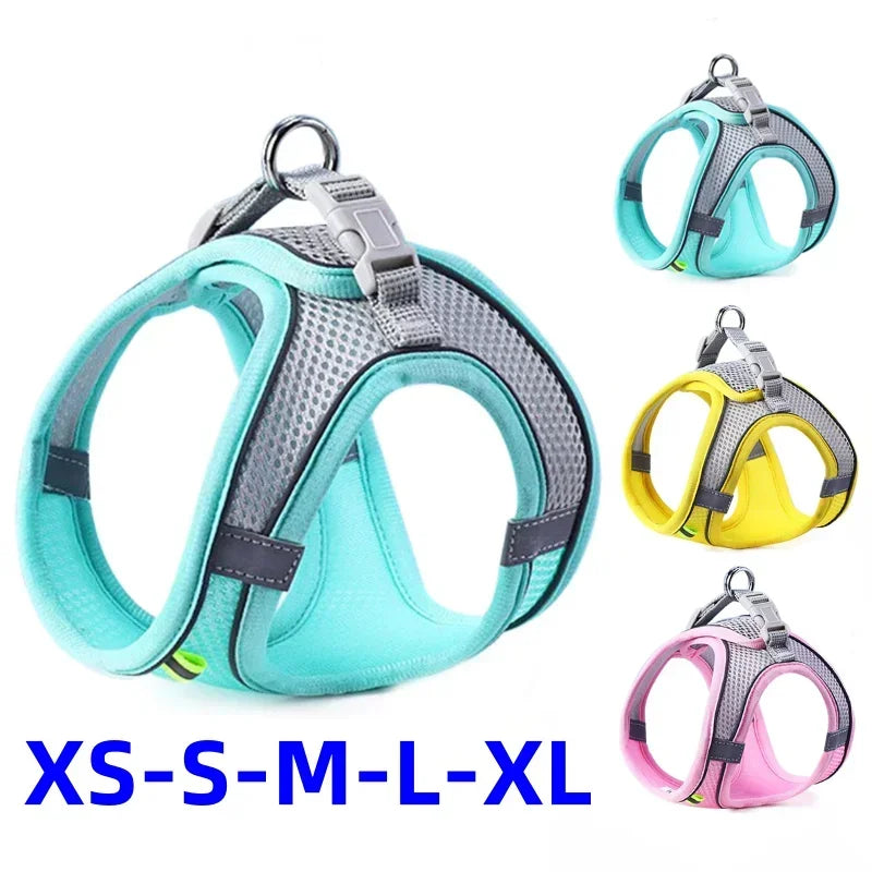 Reflective Cat Harness & Leash Set