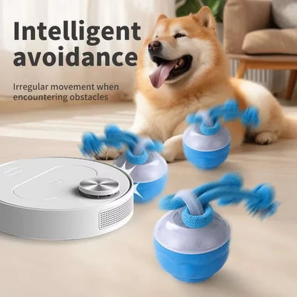 Smart Interactive Rolling Dog Ball