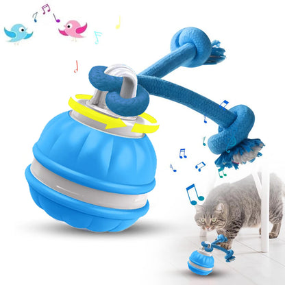 Interactive Smart Rolling Dog Ball Toy